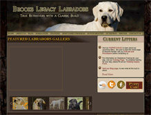 Tablet Screenshot of brookslabradors.com